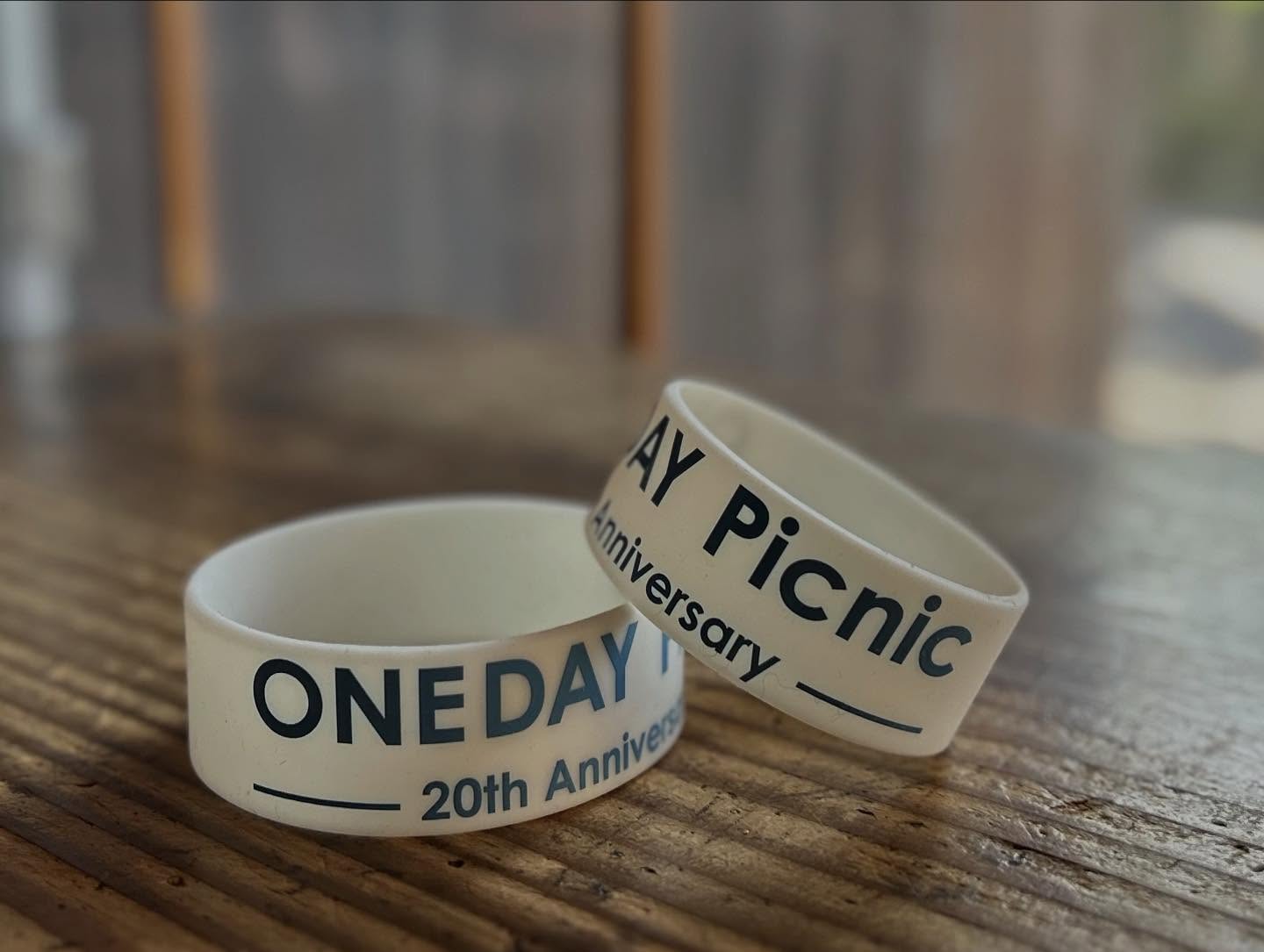 ONEDAY Picnic 2026